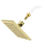Pfirst Modern Raincan Showerhead - Brushed Gold